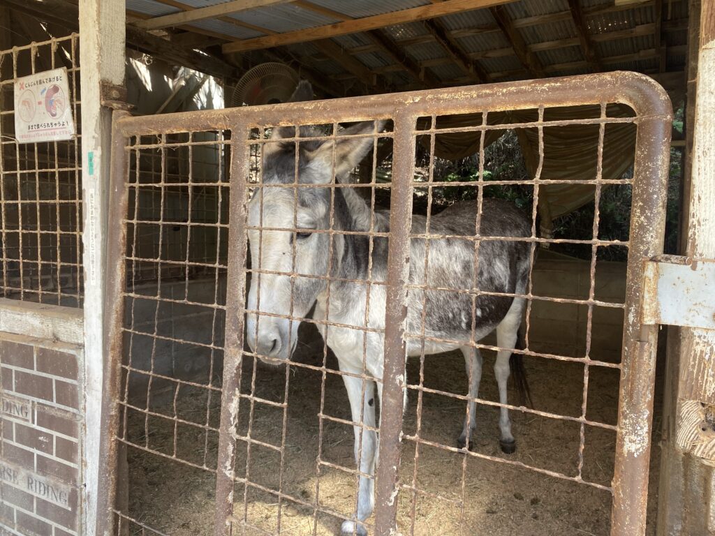 ポニーの馬屋