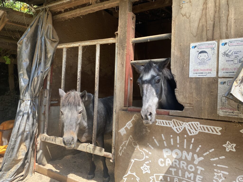 ポニーの馬屋